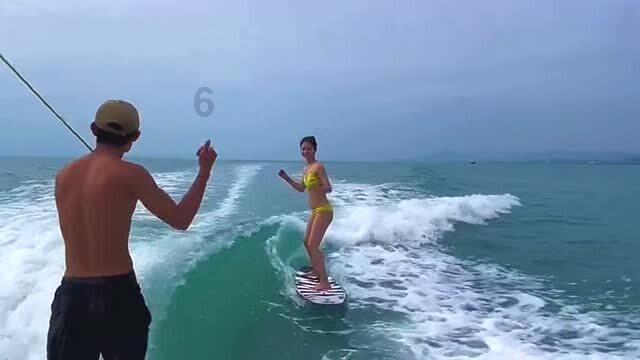 忍者鲨鱼